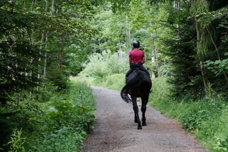 person horseback riding in the woods surrounded by trees