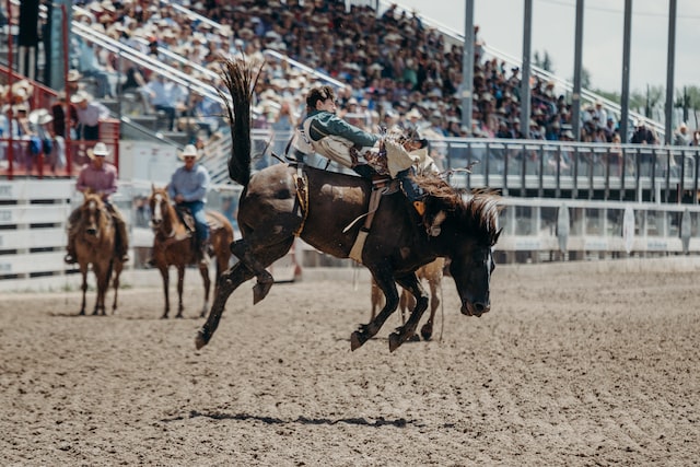 man riding a horse at a rodeo